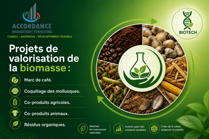 projets valorisation biomasse