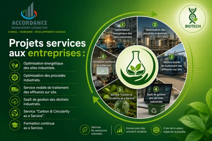 projets services b2b